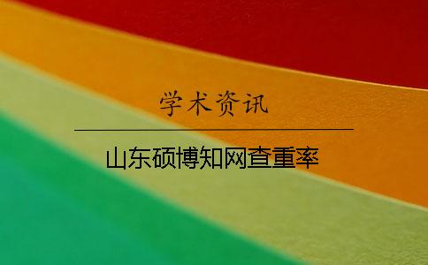 山东硕博知网查重率